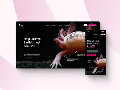 Lotl Charity Website | Hero Section branding charity design hero oversight web