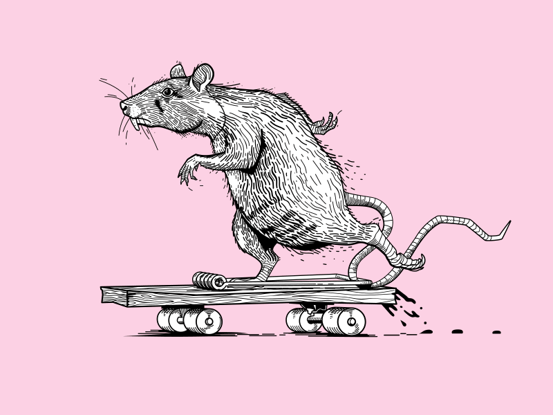 Inktober beach black cat donkey illustration rat shark skateboarding skeleton skull snake