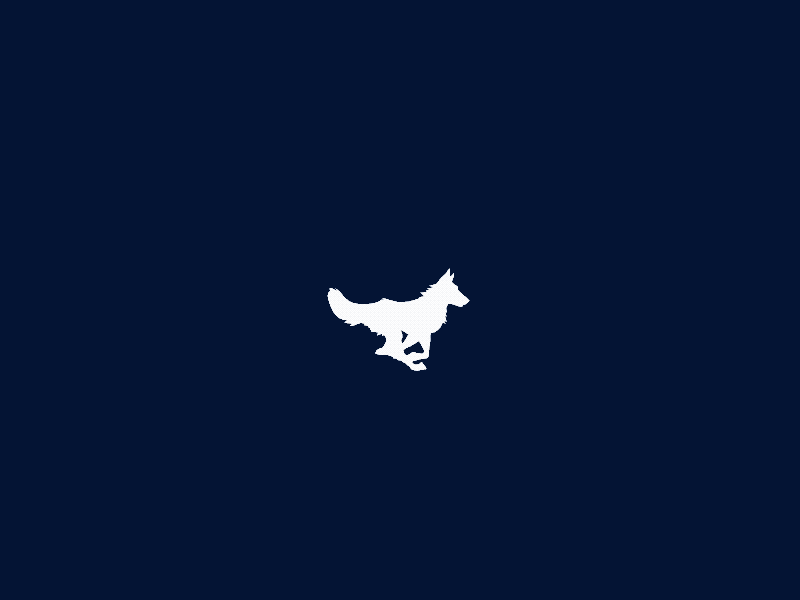 Wolf animated animation run cycle running svg wolf