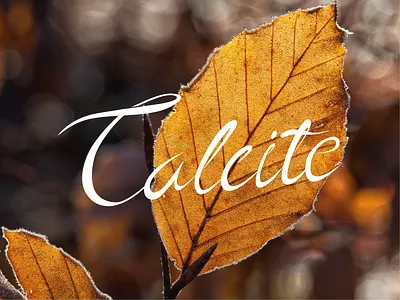 Calcite Font calligraphy font handwriting script typography