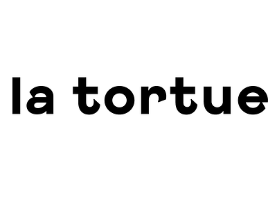 Maison de la tortue fashion form geometry lettering letterwork logotype