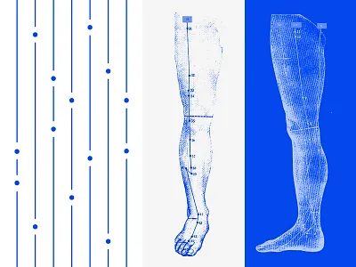 "Qi" Direction 3 - Vis System Study blue branding dots line pattern