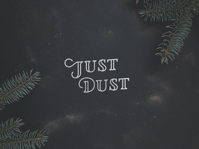 Just Dust hand lettering lettering logo logotype