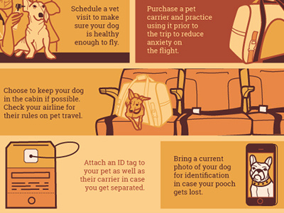 Plane Dogs desing dogs illustration infographics