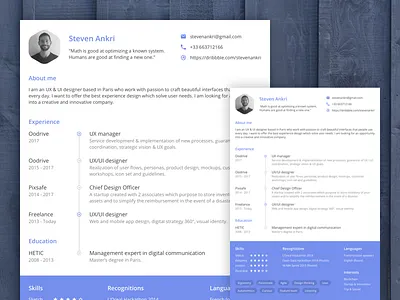 Resume - CV curriculum vitae cv design material design portfolio print resume ui ux