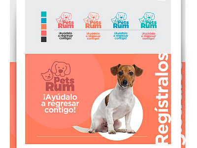 Prop/Web/PetsRum/ diseño web