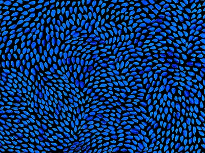 Floral paintbrush 2 blue drawing floral fluo illustration organic paint patron pattern rgb