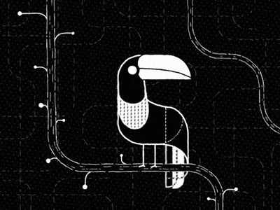 Toucan animal beak bird black and white bug jungle lines snake tucan