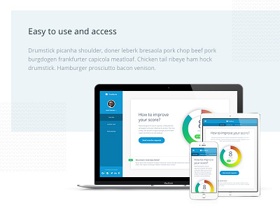 TrustScore panel blue chart clean dashboard design devices minimalistic mobile mvp pie chart startup white