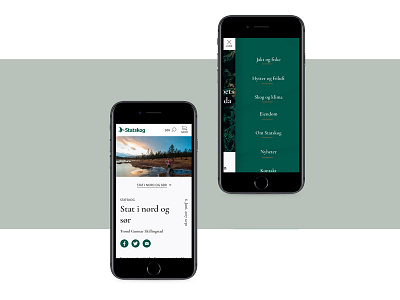 Statskog conceptdevelopment redesign ui uidesign ux uxdesign webdesign websitedesign
