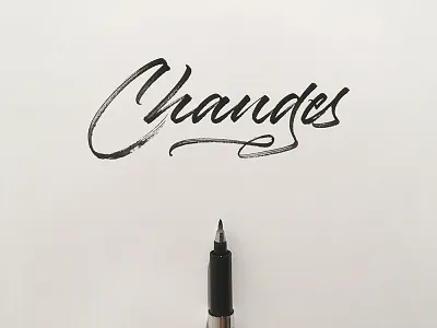 Changes brush brushpen brushscript calligraphy lettering logo signature typography