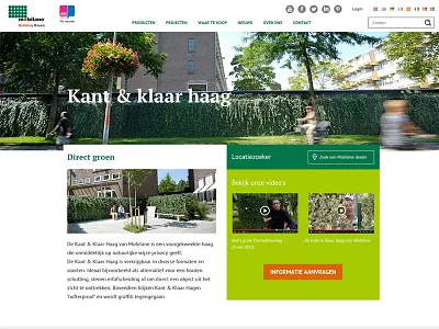 Mobilane Design concept mobilane ui ux webdesign website