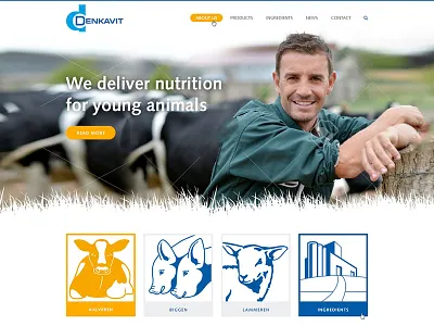 Denkavit Concept concept denkavit ui ux webdesign website