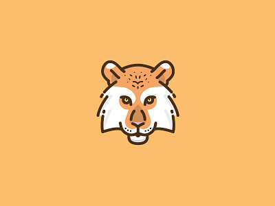Tiger icon (set 4/6) animal brand flat graphicdesign icon illustration logo vector