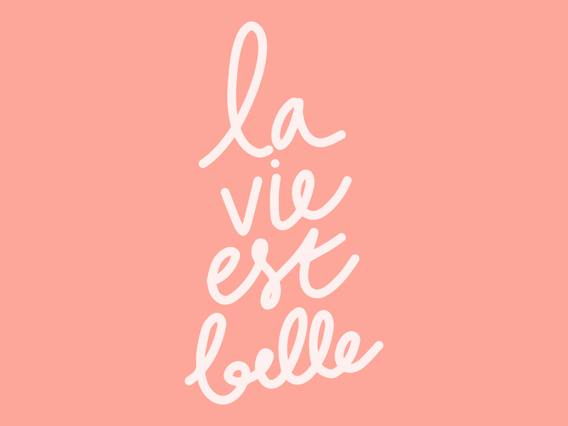 La vie est belle beautiful color gif life mojo quote typography