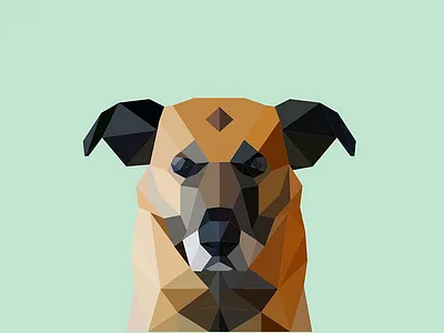 Low poly dog animal dog low poly low polygon low polygon art minimal nature shepherd