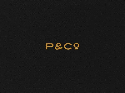 Horizontal P&Co Logo branding branding element design illustration logo system pco
