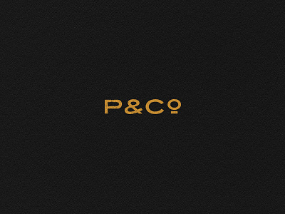 Horizontal P&Co Logo branding branding element design illustration logo system pco