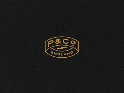 Primary P&Co Logo branding branding element design illustration logo system pco