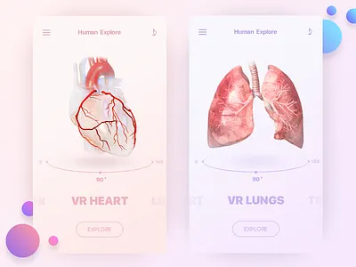 VR Anatomic Application app application concept design interface ios iphone medecine medical product ui