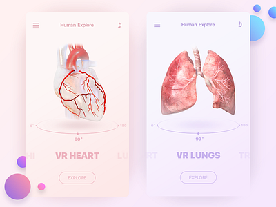 VR Anatomic Application app application concept design interface ios iphone medecine medical product ui