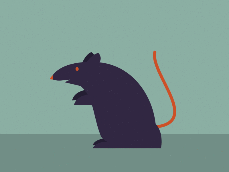 Rat eeeek gif giftober halloween rat thefuturchallenge