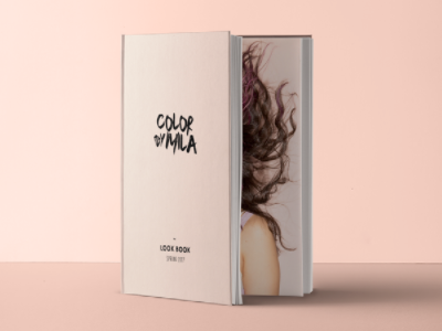 Brand Identity for Color By Mila brand brand book colorist design hair identity nyc