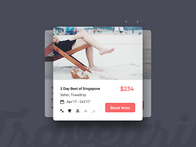 TravelTrip - Travel, Tour, Flight & Hotel Booking PSD Template app booking clean design flights holidays homestay hotel illustration online booking travel ui