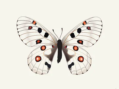 WIP Book Cover ai book book cover butterfly cover pride and prejudice wip