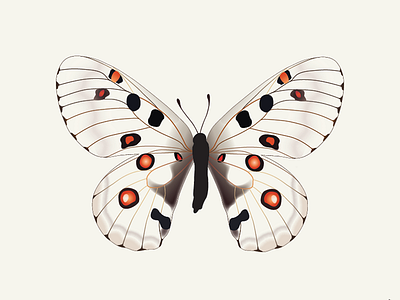 WIP Book Cover ai book book cover butterfly cover pride and prejudice wip
