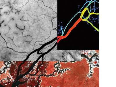 Nature / human / artificial artificial booklet collage corteccia digital human microscope nature veins world zoom