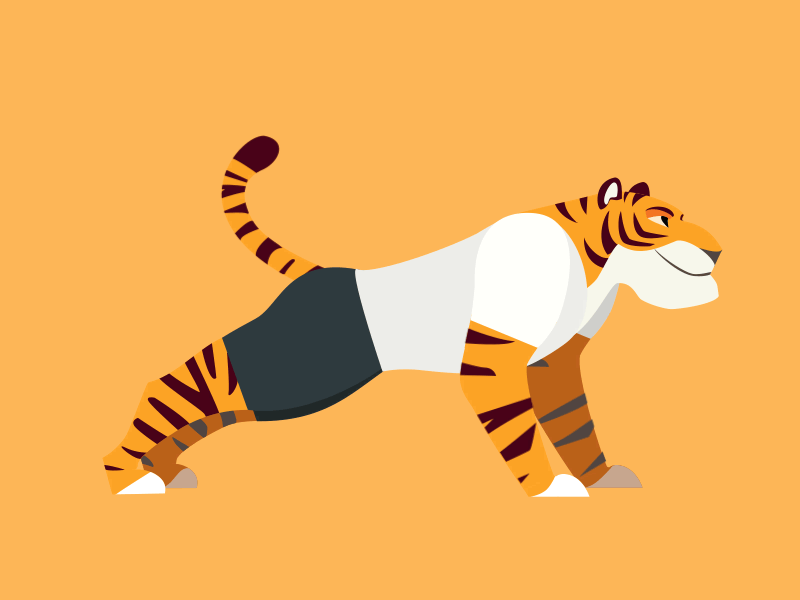 push-up ae tiger， ，