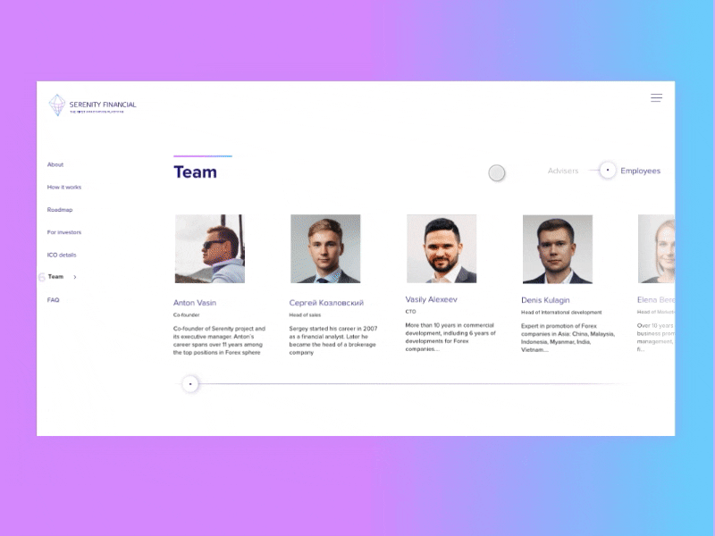 Serenity Financial team flinto forex ico slider team page