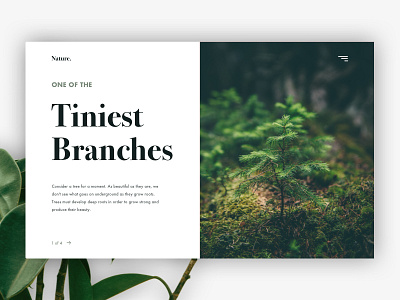 Tiniest Branches branding clean design homepage minimalistic nature site travel ui ux web website