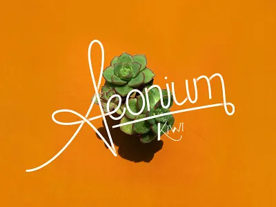 Suculentas! calligraphy handlettering identity lettering logo logotype pen pilot type typeface typography