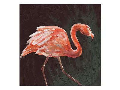 Study in Pink adobe bird design digital painting flamingo illustration paint painting photoshop sketch texture