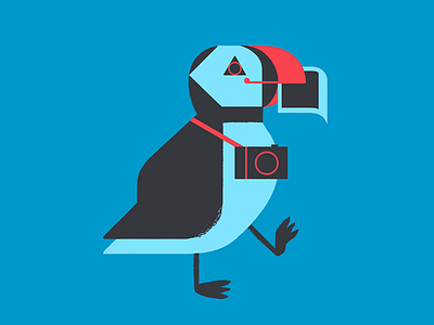 Project Puffin photographer polaroid puffin