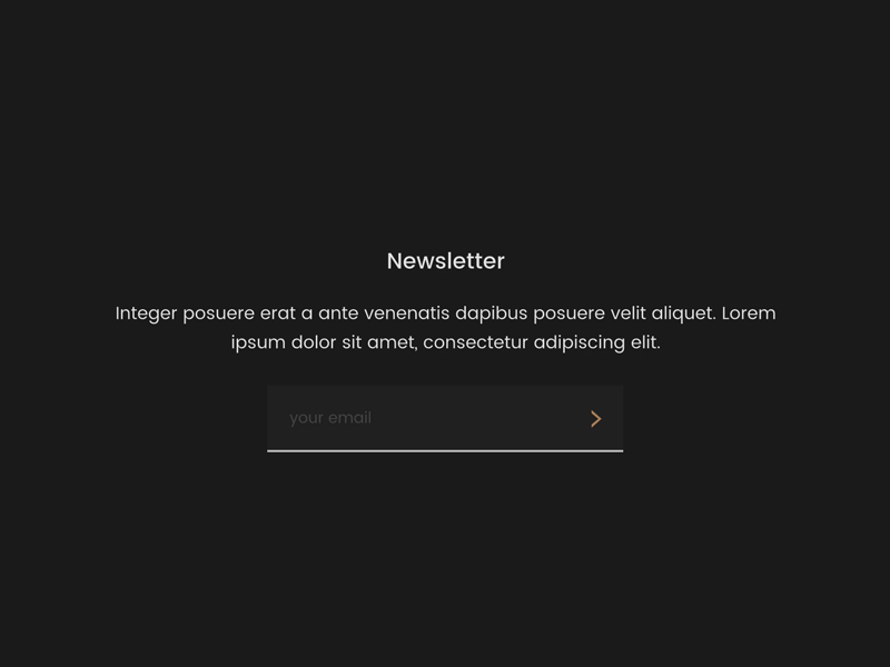 Newsletter animation form input interaction newsletter principle