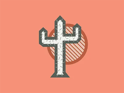 Cactus cactus illustration southwest vector