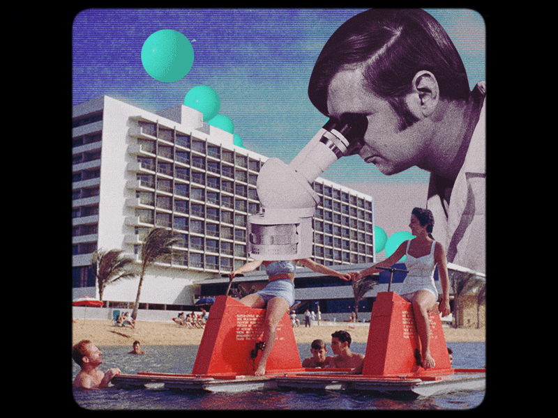 Social Experiment animation collage design gif motion retro vintage