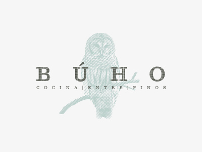 BÚHO - COCINA ENTRE PINOS animals brand comida eat food logo marca restaurant restaurante