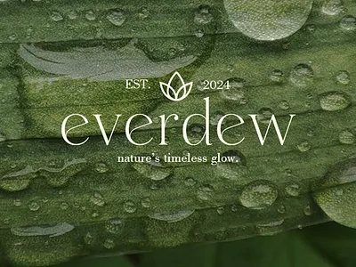 Everdew | Branding and Packaging Design brand identity branding graphic design logo logo design package design