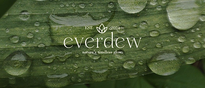 Everdew | Branding and Packaging Design brand identity branding graphic design logo logo design package design