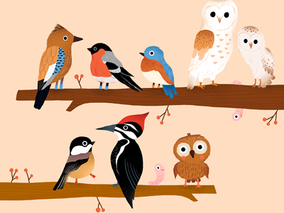 Staff meeting animal stickers animals bird illustration birds childrens illustration illustration illustrator kidlit kidlitart mountain animals sticker