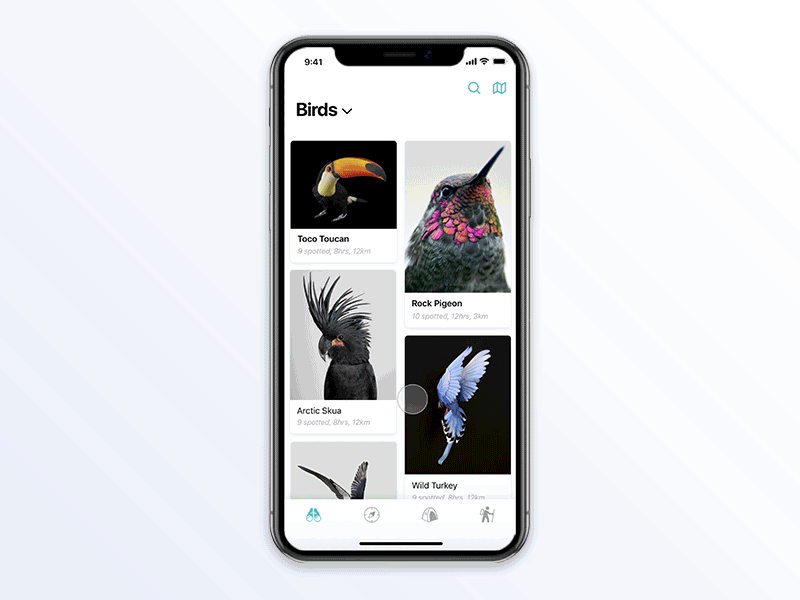 The animal near you animal app gif ios11 iphonex motion nature naturewatch ui