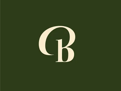 Upper & lower alpha B b experiment lettering