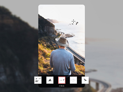 Emphasis app app birds concept ios photo retouching ui ux visual