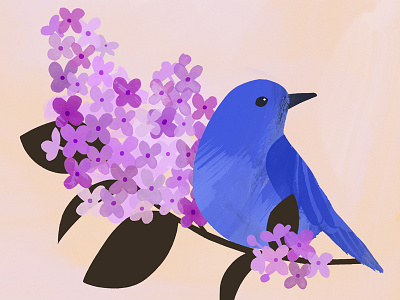 Idaho State Bird & Flower bluebird boise botany idaho illustration lilac painterly state bird syringa