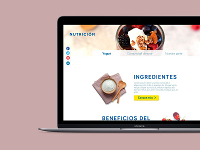 Nutrición food lactose site ui ux webpage yoghurt yogurt