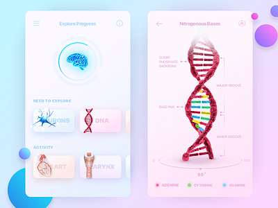 VR Anatomic Application app application concept design interface ios iphone medecine medical product ui